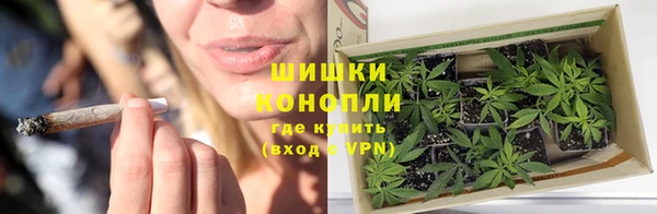 ECSTASY Богородск