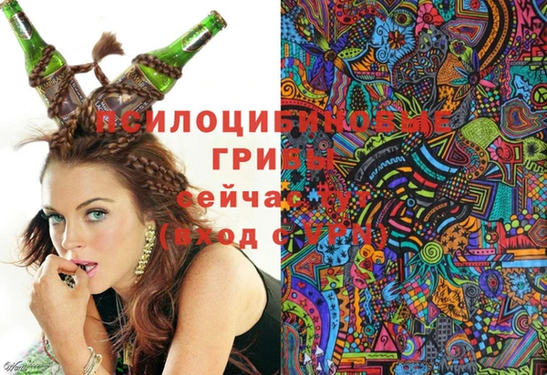 ECSTASY Богородск