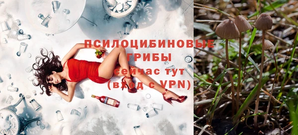 амфетамин Богданович