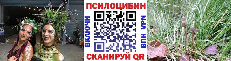 гидра ТОР  Брюховецкая  Галлюциногенные грибы Psilocybine cubensis 